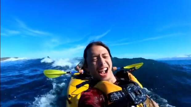 Парень получил пощёчину от тюленя осьминогом