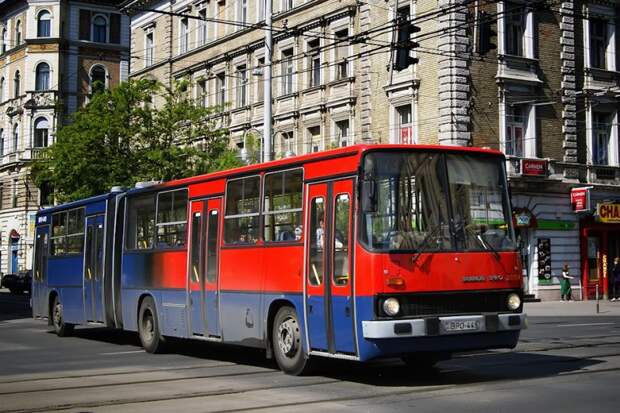 А вот такой окрас — признак машины, работавшей на экспрессных линиях, заменяющих метро и другие виды транспорта. По мере обновления окрасок, их обливают в более традиционную схему, но единично остаются и красно-синие красавцы. автобус, будапешт, венгрия, икарус, общественный транспорт