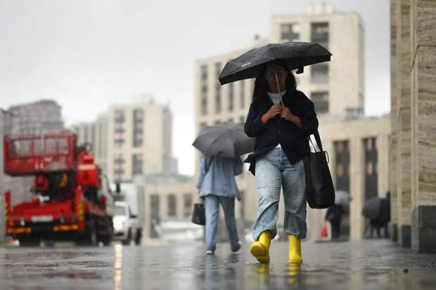 Синоптик Позднякова ответила, пойдет ли еще снег в Москве