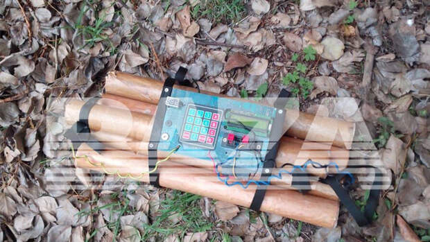 Хабаровские ученики нашли в школьной мусорке муляж бомбы с часовым механизмом