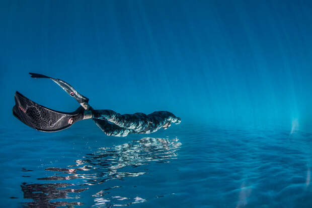Лучшие фотографии из жизни океанов Ocean Photographer of the Year 2023. Часть 2 Лучшие фотографии из жизни океанов Ocean Photographer of the Year 2023. Часть 2