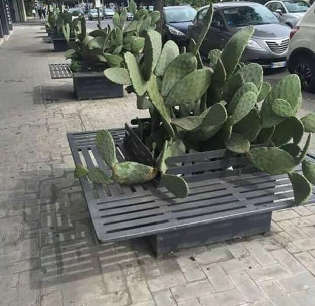 Фейлы строителей
