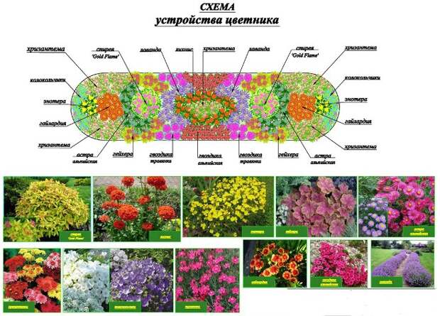 Палисадник перед домом: размер, стиль, выбор растений (80 фото)