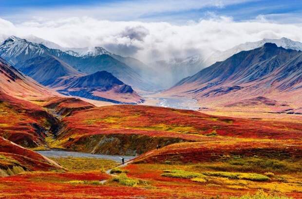 Национальный парк и заповедник Денали аляска, в мире, красота, природа