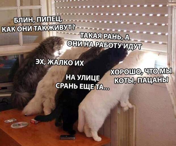 Подборка прикольных картинок