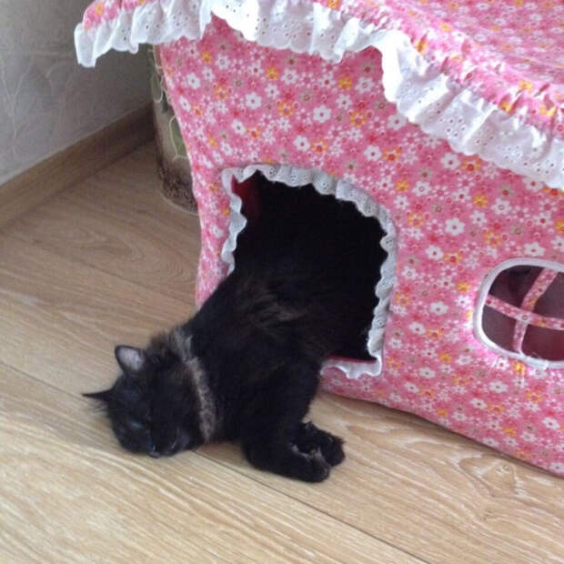 td9Xye2WGv4 (700x700, 457Kb)