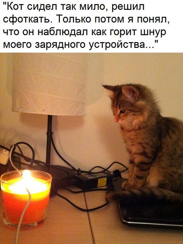 Забавные картинки с надписями для поднятия настроения (11 фото) Забавные картинки с надписями для поднятия настроения (11 фото)
