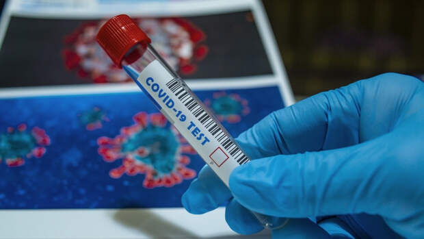 Медики зафиксировали 8995 новых случаев заболевания коронавирусом за сутки в России