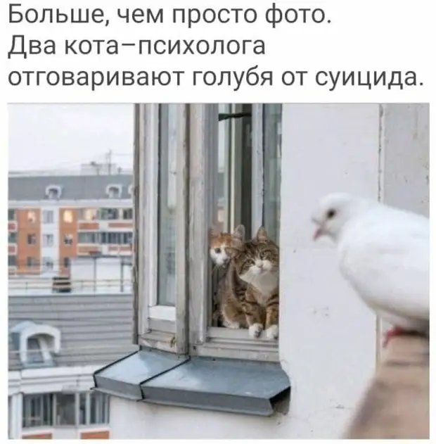 Детей интересует вопрос: откуда всё берётся? Взрослых – куда всё девается? Детей интересует вопрос: откуда всё берётся? Взрослых – куда всё девается? попробовать, точно, сторож, Дайте, завтракайте, означает, Тохта, въехать, всегда, машины, купил, трусиков, одинаковых, несколько, одного, цвета, бесплатно»Муж, блондинки, Зачем, совсем