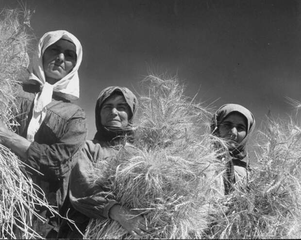 Почему советские женщины так быстро старели: тяжелый труд и другие причины