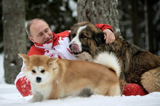 Путин и собаки