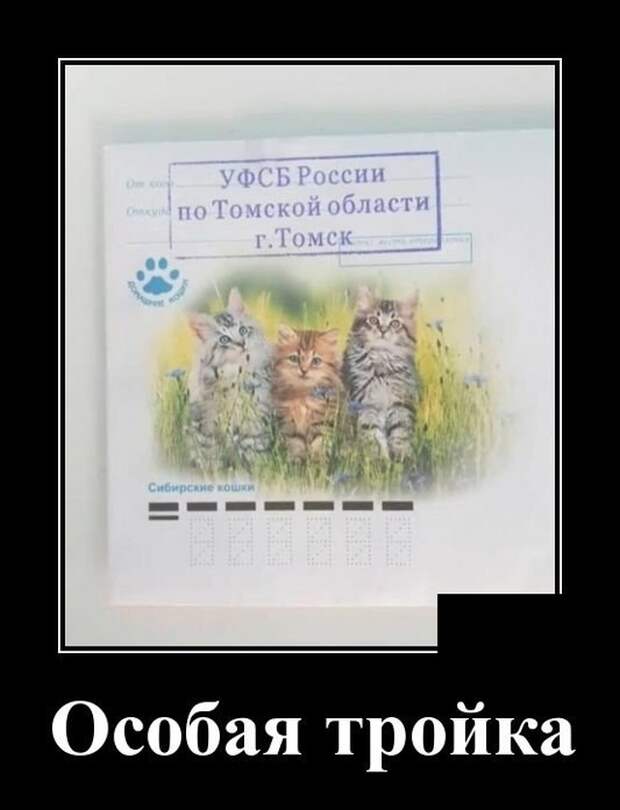 Демотиваторы (30 фото)