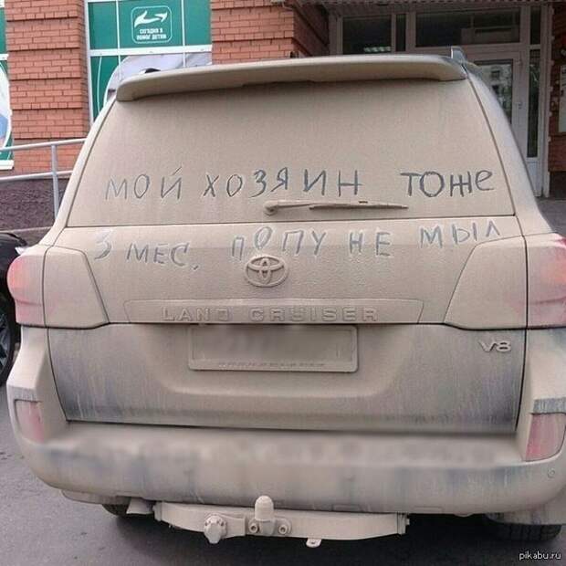 ПРЕДИСЛОВИЕ: авто, лако-красочное покрытие, факты