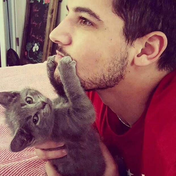 Немножечко внимания. Instagram hotdudeswithkittens.