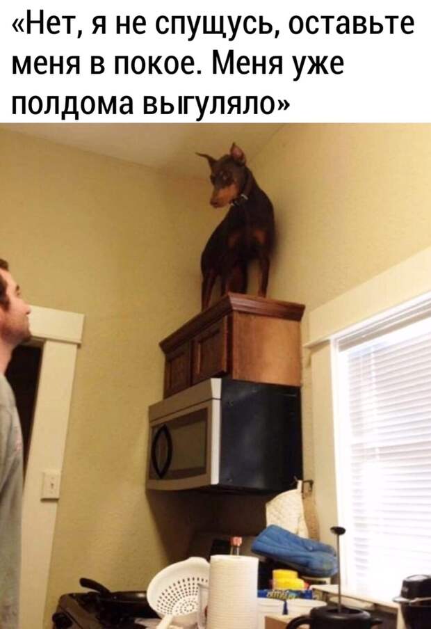 Карантин Карантин
