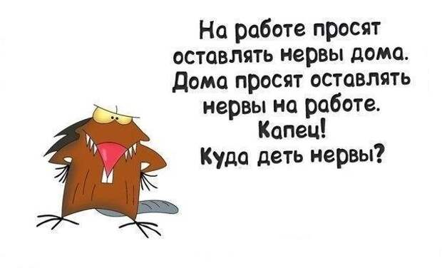 https://pp.vk.me/c7011/v7011946/13946/LEY-U1TblYU.jpg
