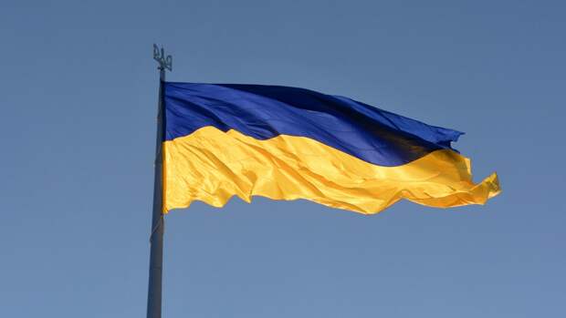 Украинские блогеры и политологи остались недовольны визитом Блинкена в Киев