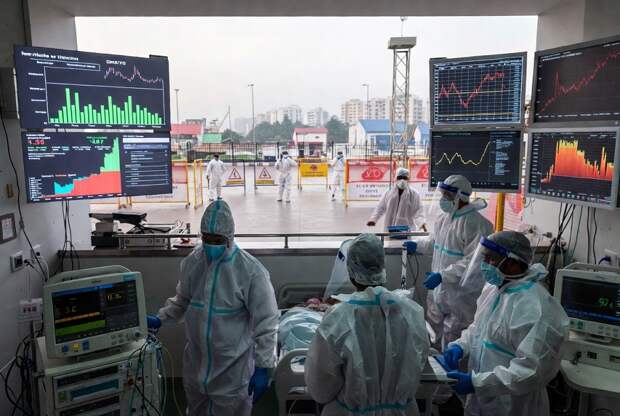 Чем опасен и как передается вирус Нипах из Индии