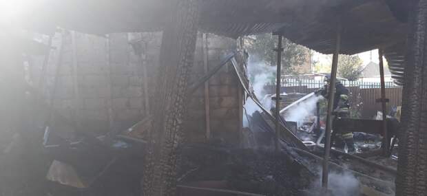 Новосибирские пожарные спасли из горящего дома девочку и двух котов