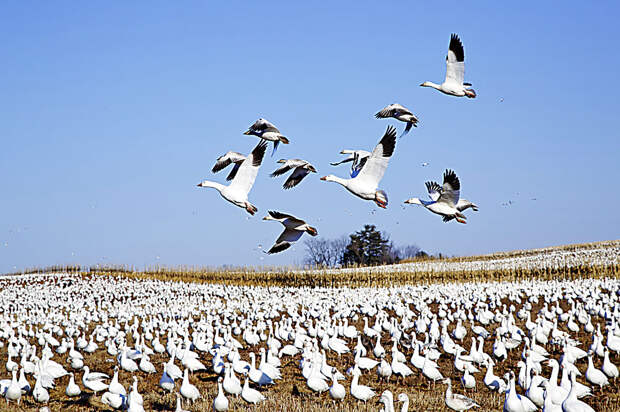 iStock_61465680_LARGE.jpg