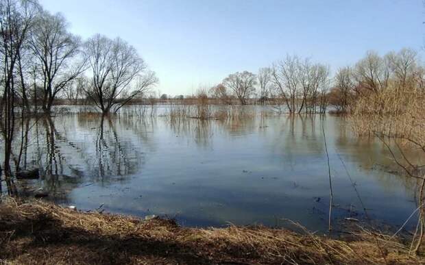 Вода в Оке у Рязани поднялась еще на 10 см к утру 17 марта