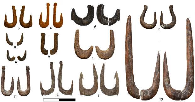 Археологи нашли в Израиле древнейшие рыболовные крючки Западной Евразии