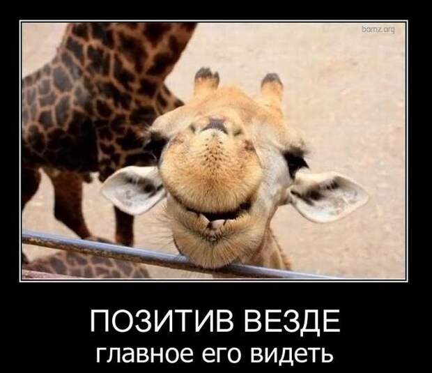 Подборка веселых и смешных демотиваторов для настроения (10 фото)