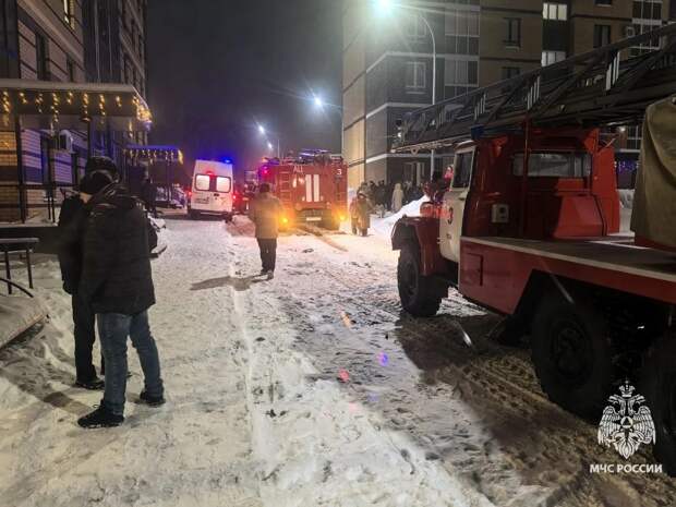 Два человека погибли на пожаре в тульском посёлке Молодёжный