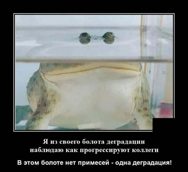 Демотиваторы 19 мая 2021