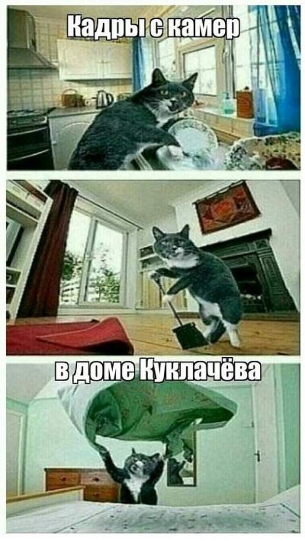 Наконец то дома картинки