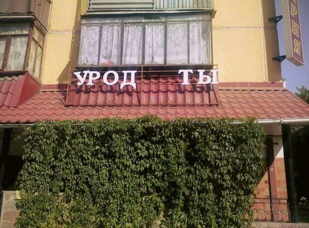 Буква решает все (29 фото)