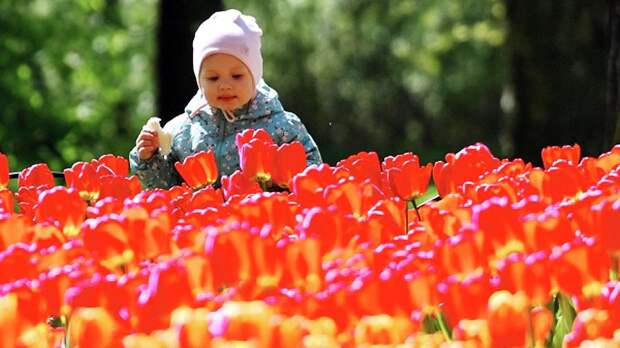 Фестиваль «Русское лето. За Россию» охватит пять федеральных округов