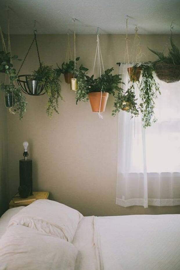 Хорошенький вариант оформления мини-сада в гостиной или в спальной – в подвешенном состоянии.