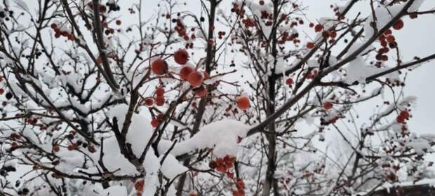Погодные качели на Кубани: уже завтра 15 тепла, а в начале февраля – снова 11 мороза и снегопад