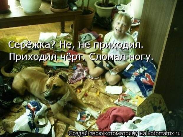 Лучшие котоматрицы недели (50 фото)