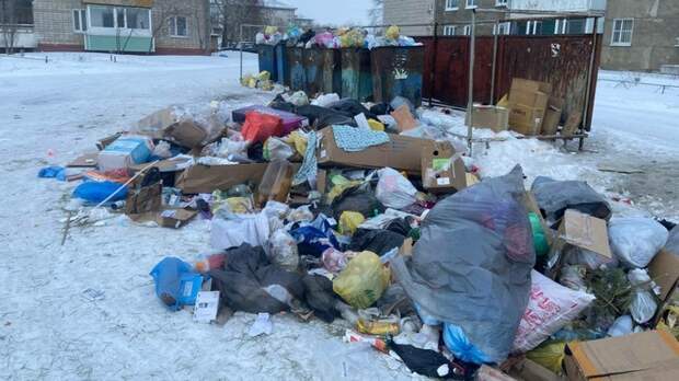 Мусор в городе Славгороде / Фото: пресс-служба АРО ЛДПР 