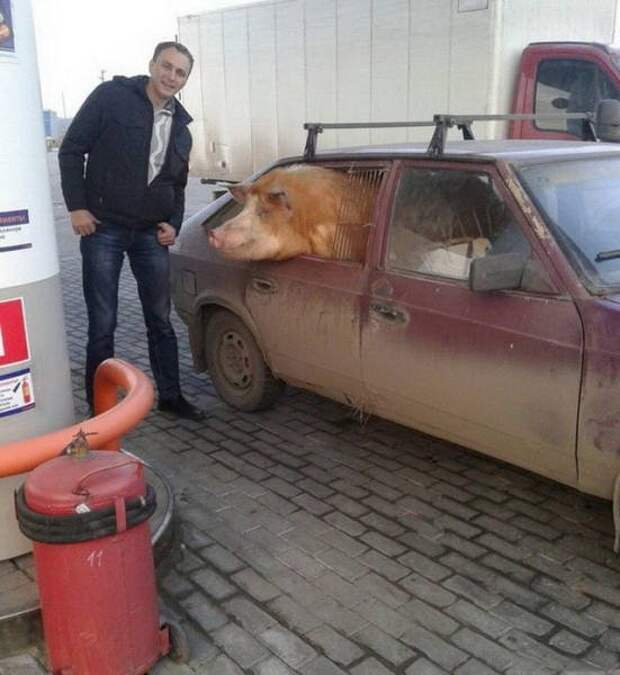 Перевозки на которых сэкономили