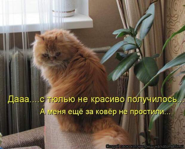 Мысли вслух :)