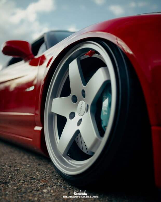 Lowdaily