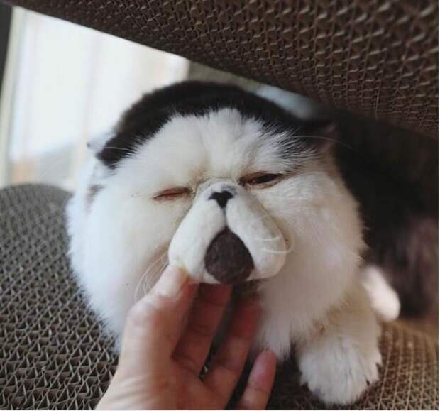 Зуу