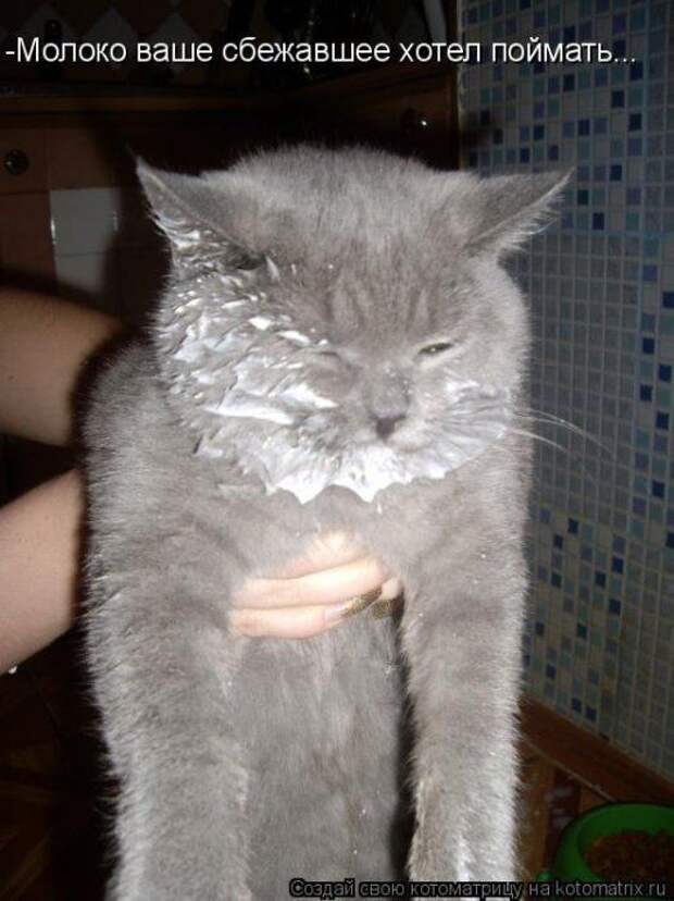 Мысли вслух :)