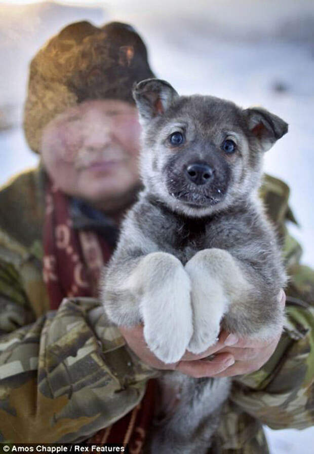 oymyakon02