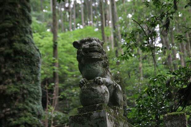 Японский священный лес