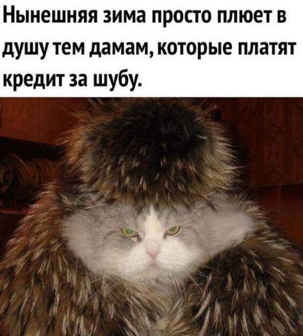 Прикольные и смешные картинки