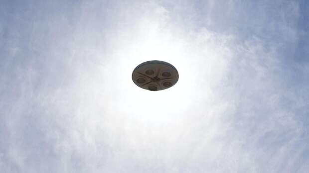 Daily Mail: в США идентифицировали «волосатый НЛО»