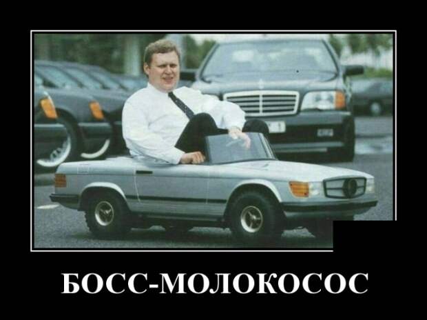 Демотиваторы (30 фото)