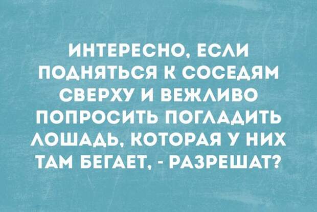 Спецвыпуск смешных и коротких историй из жизни, рассказанных в Интернете. Для прекрасного настроения