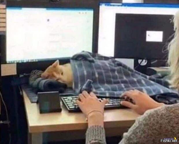 ab3a807951e1b52a27e75fe216fffca1 (640x518, 176Kb)