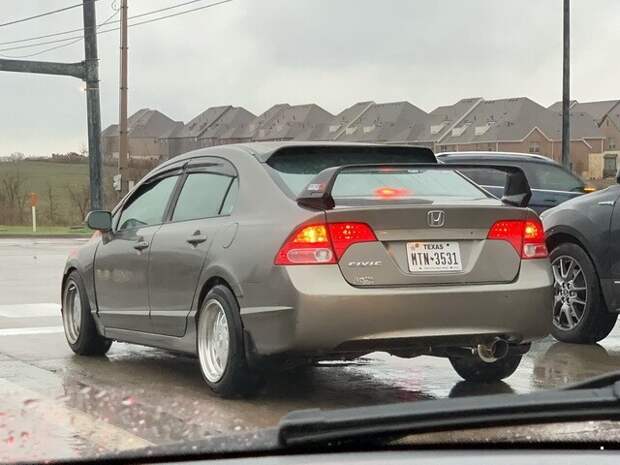 Автовсячина