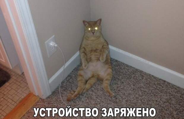 GrRcqU62_lk
